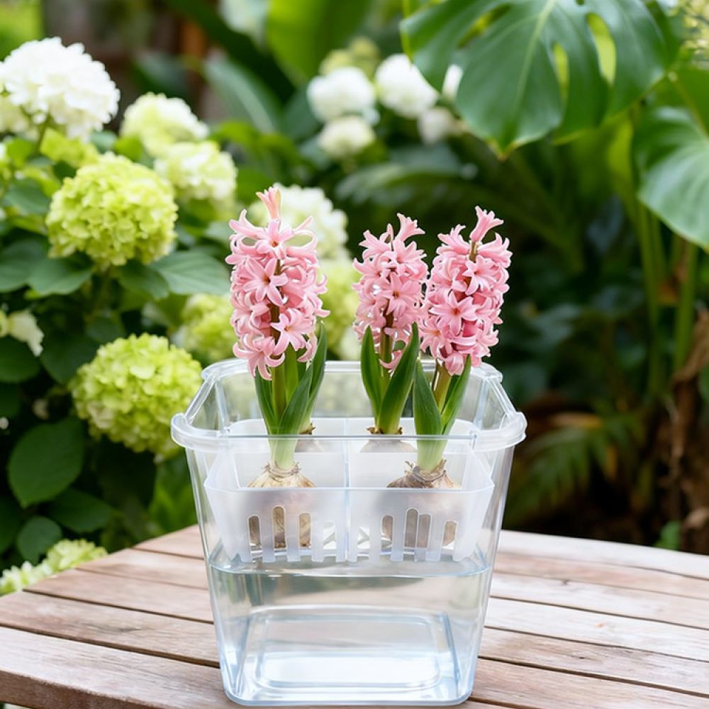 Indoor Plants - Vase hydroponique pour tulipes et lys,