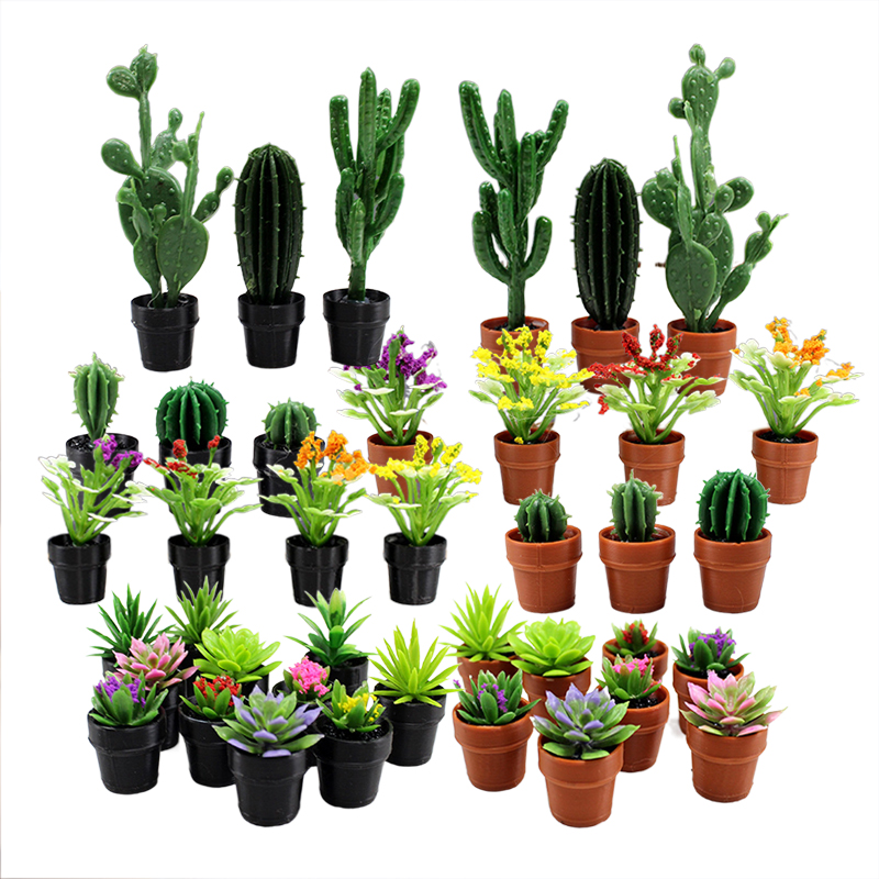 Succulent Set - 8 plantes en pot miniatures en