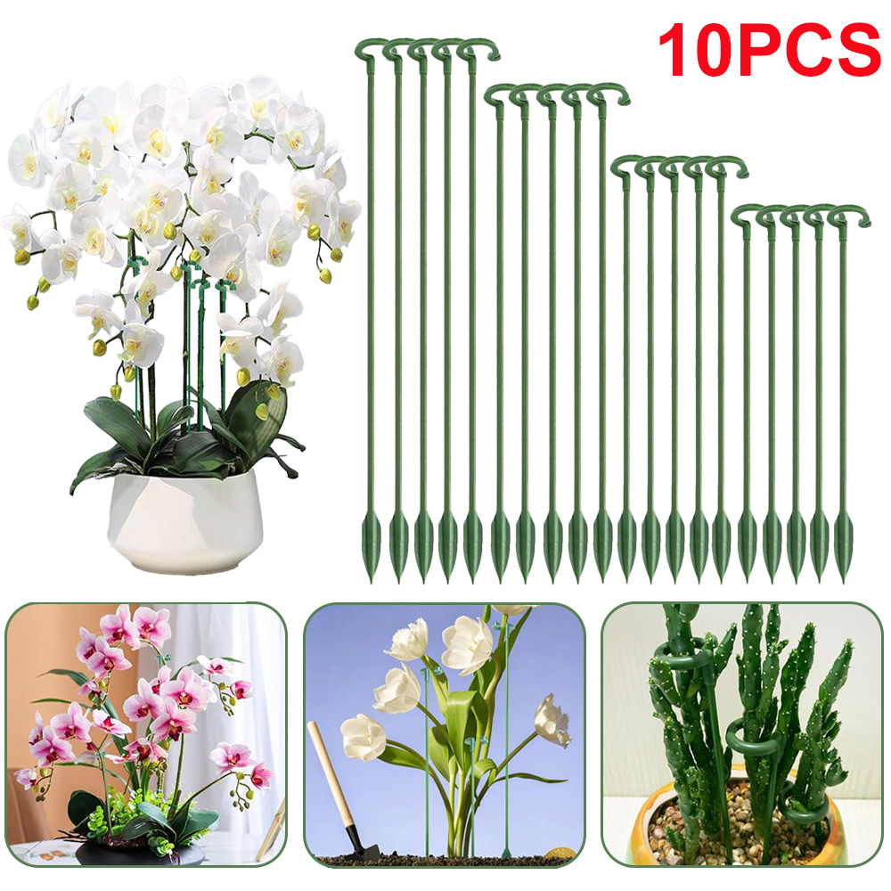 Succulent Set - 5/10 piquets de support pour plantes,