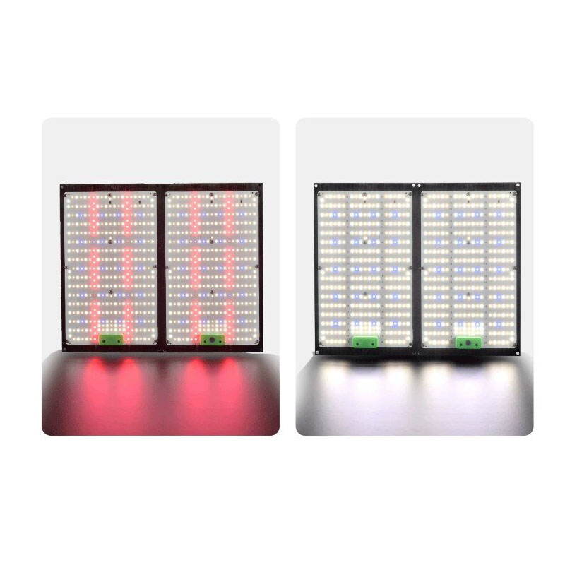 Lampe de culture LED Quantum-B - Indoor Plants avis et prix