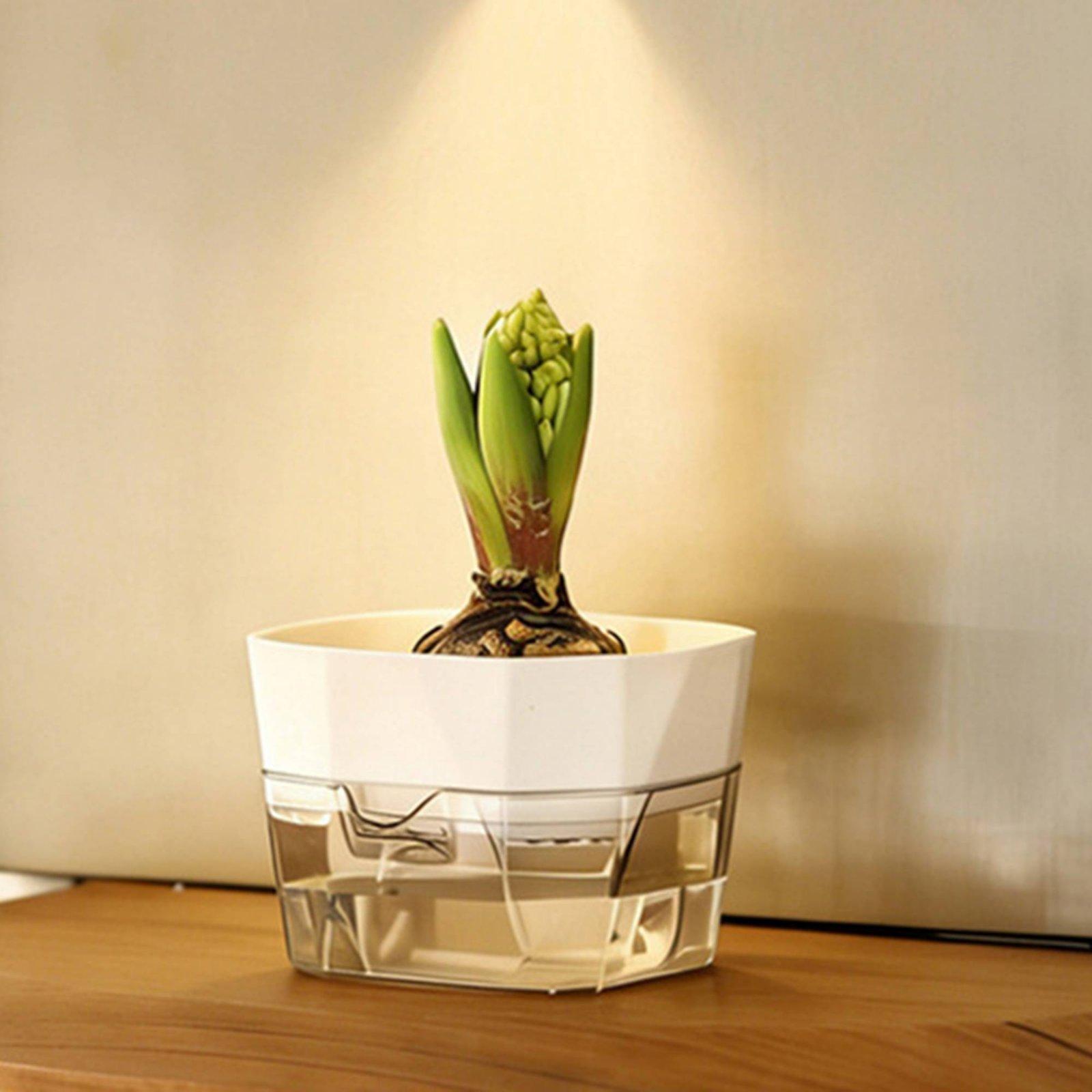 Vase hydroponique à deux nivea - Indoor Plants avis et prix