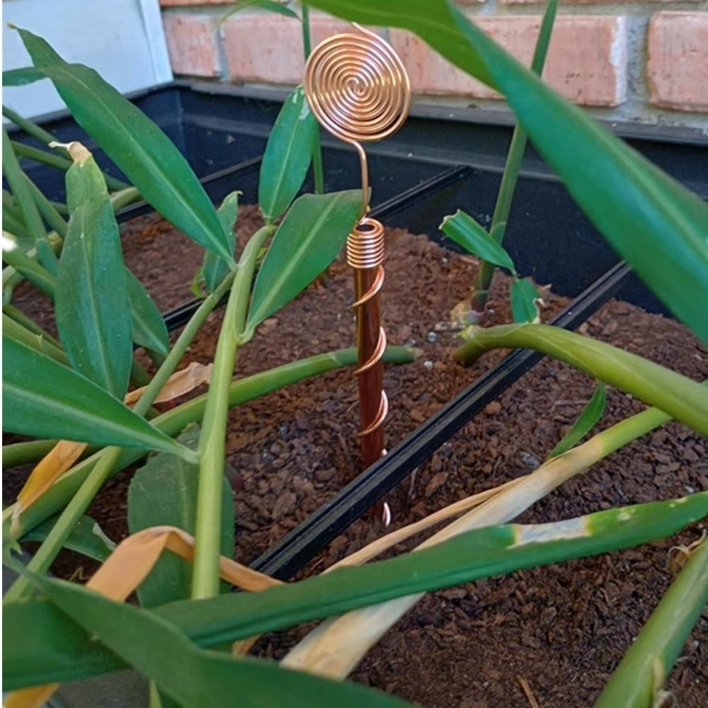 Piquets de jardin en spirale p - Plant Support Stake avis et prix