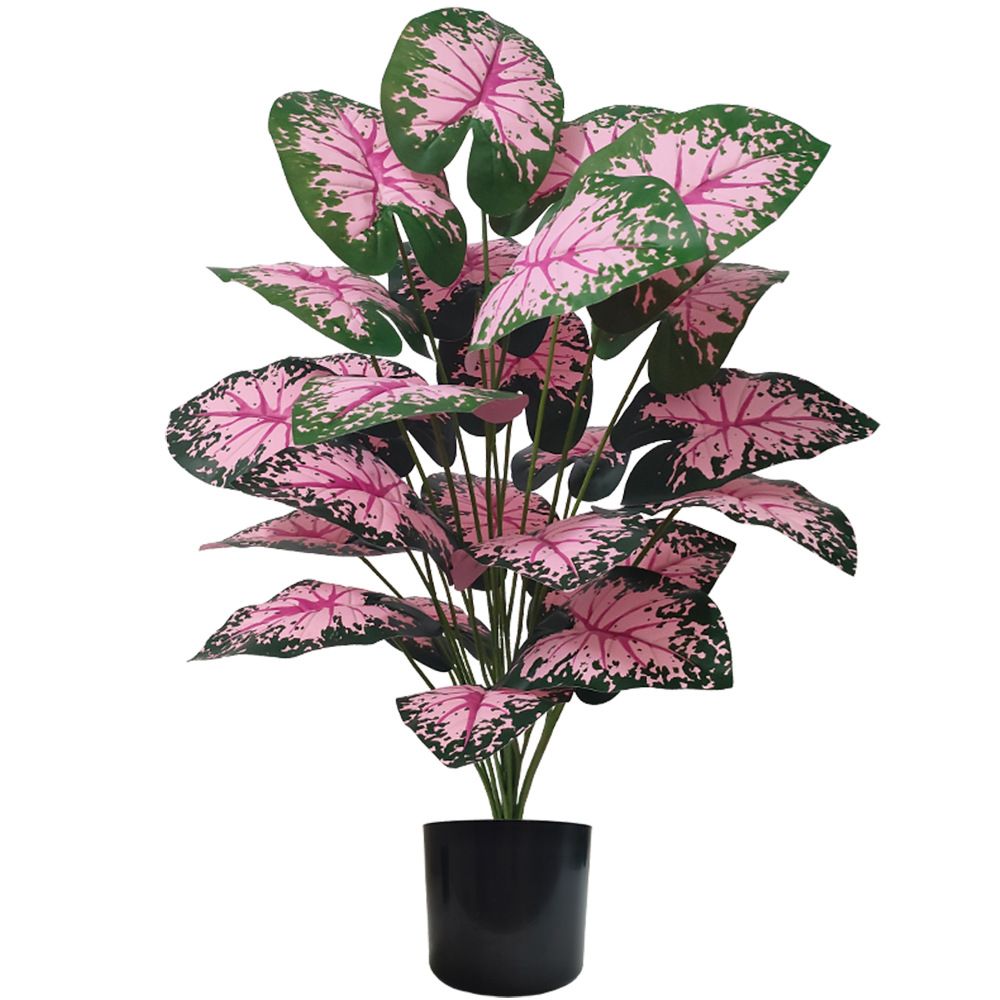 Plantes artificielles en pot d - Snake Plant avis et prix