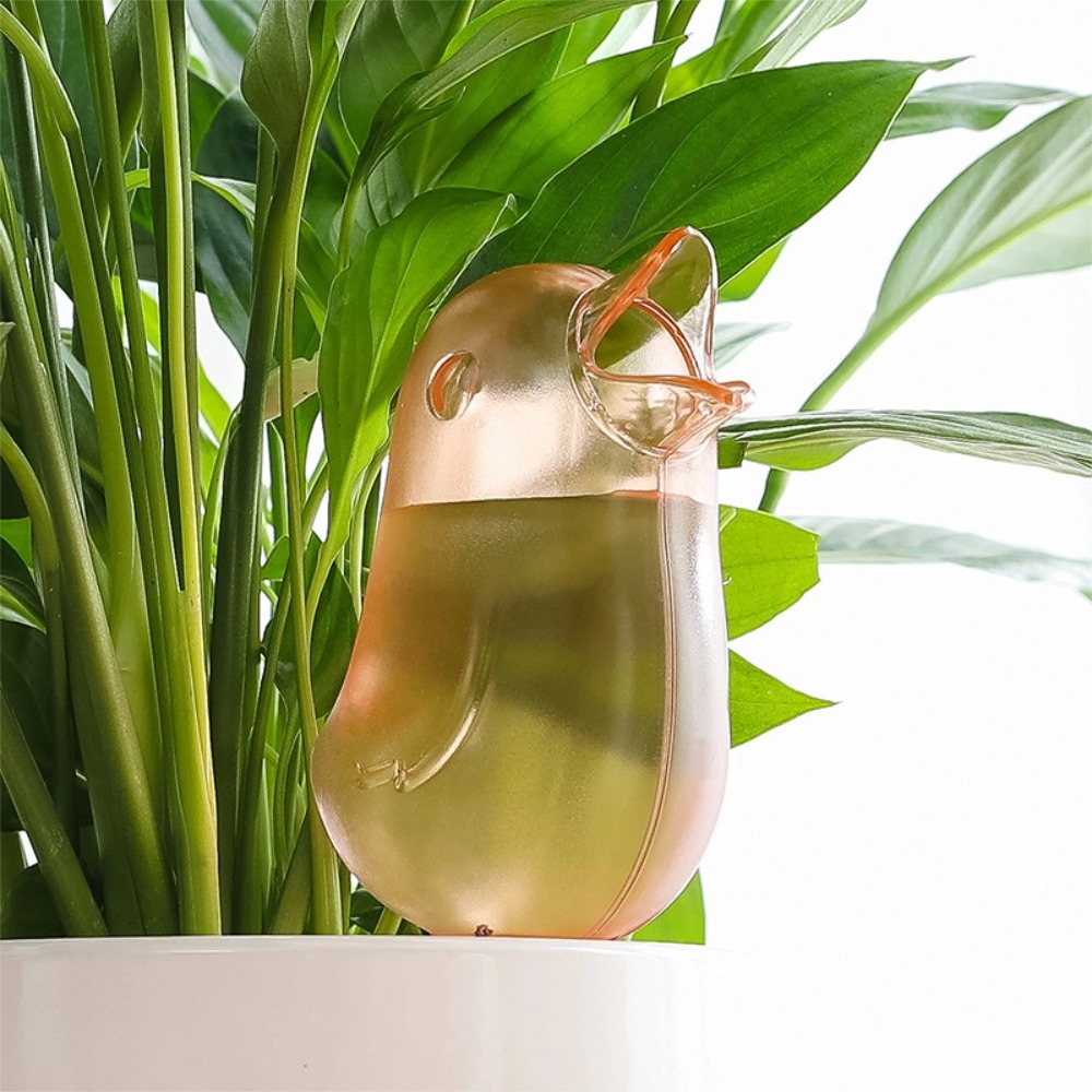 Dispositif d'arrosage automati - Pothos avis et prix