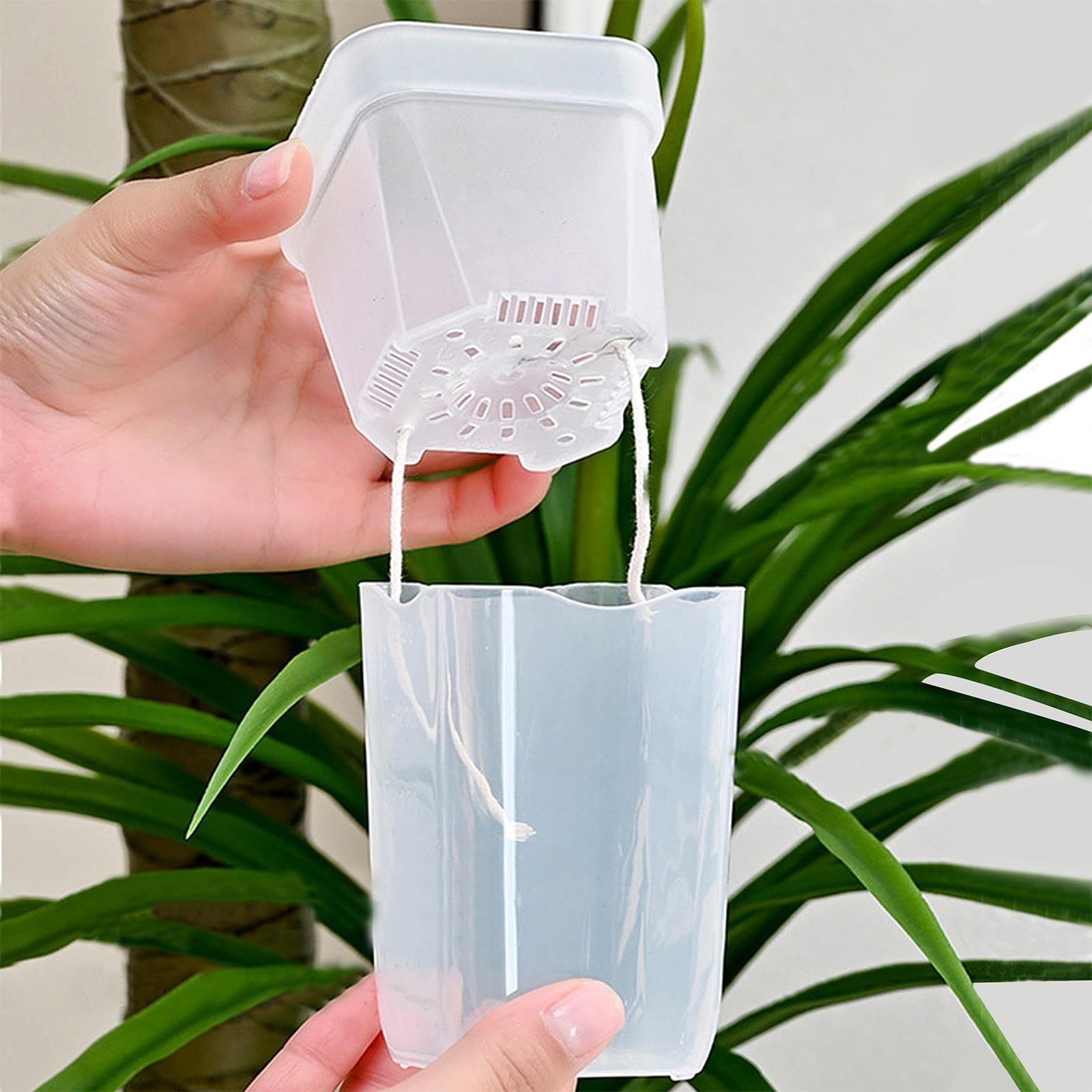 Lot de 16/32 pots auto-arrosan - Pothos avis et prix