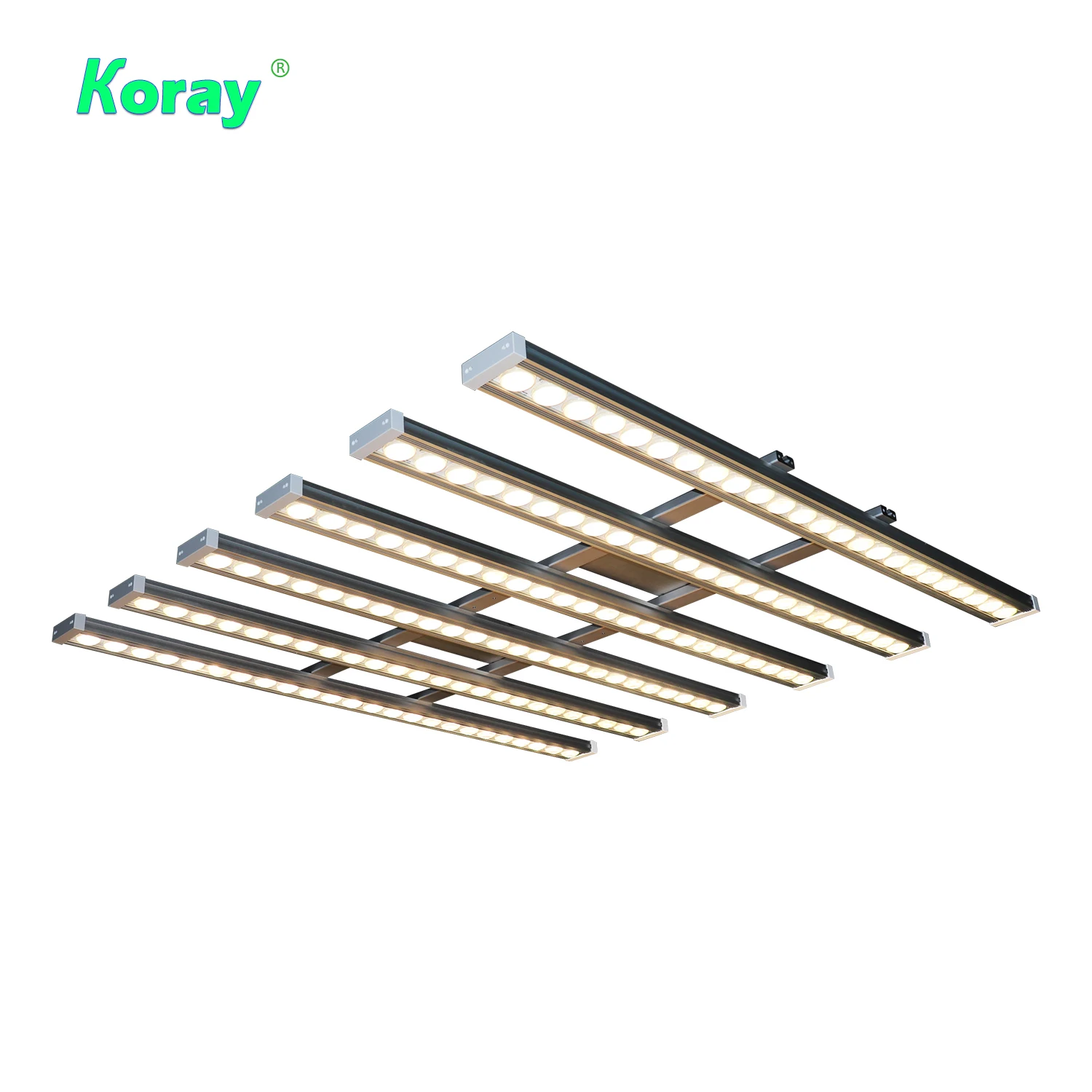 Koray 900W Lampe de culture in - Indoor Plants avis et prix