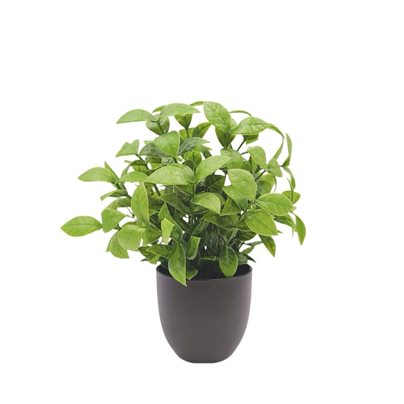 Plante verte artificielle, bon - Succulent Set avis et prix