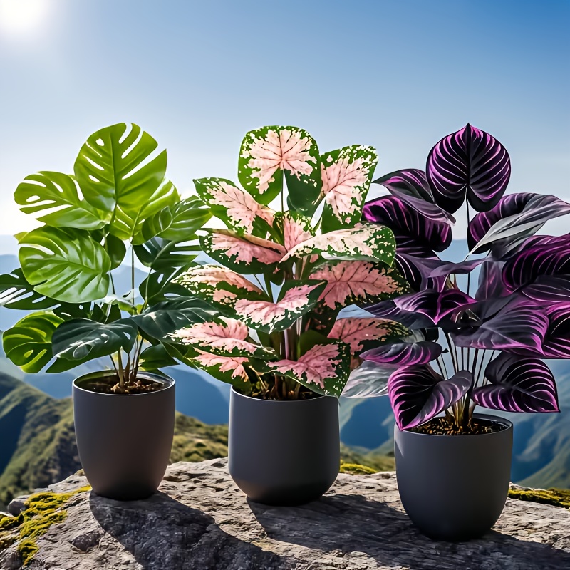 Ensemble de 3 plantes artifici - Fiddle Leaf Fig avis et prix