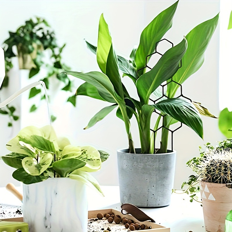 1 treillis pour plantes en for - Pothos avis et prix