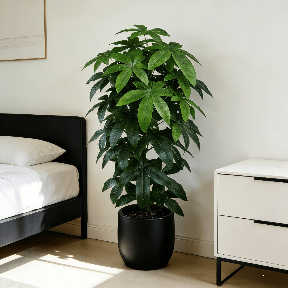 Un arbre à monnaie artificiel  - Fiddle Leaf Fig avis et prix